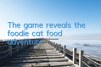 The game reveals the foodie cat food adventure