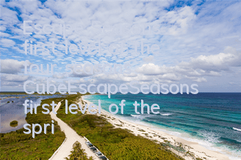 Escape Seasons' first level of the four seasons CubeEscapeSeasons' first level of the spring