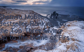Shenwu Mobile Game App Bestseller Rankings to the Top Three, Living Up to the Name of First MMO