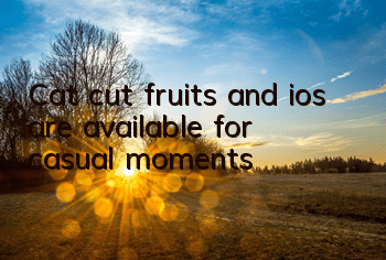 Cat cut fruits and ios are available for casual moments