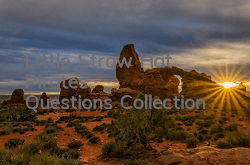 Little Straw Hat Pirates' Questions Collection