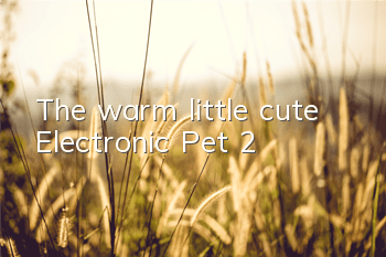The warm little cute 
