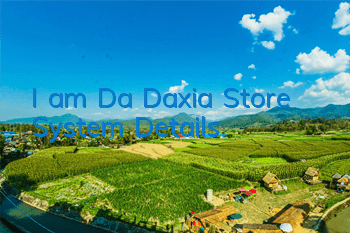 I am Da Daxia Store System Details