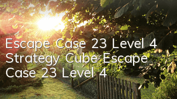 Escape Case 23 Level 4 Strategy Cube Escape Case 23 Level 4