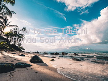 How to use Tai Chi Panda Soul Altar