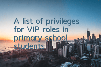 A list of privileges for VIP roles in primary school students
