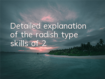Detailed explanation of the radish type skills of 2