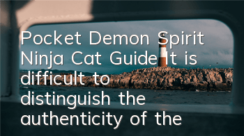 Pocket Demon Spirit Ninja Cat Guide It is difficult to distinguish the authenticity of the shadow clone