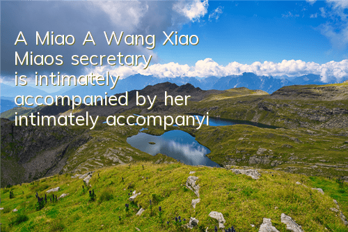 A Miao A Wang Xiao Miao's secretary is intimately accompanied by her intimately accompanying her in another world