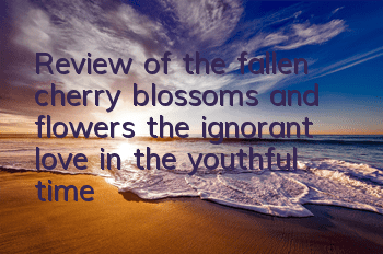 Review of the fallen cherry blossoms and flowers, the ignorant love in the youthful time