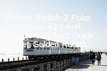 Defend Radish 2 Polar Adventure 41 Level Picture and Text Guide to Get Golden Radish easily