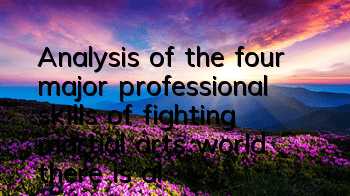 Analysis of the four major professional skills of fighting martial arts world, there is always one suitable for you