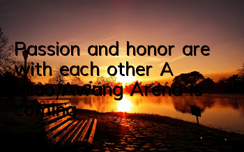 Passion and honor are with each other! A Miao Awang Arena is coming