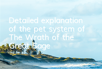 Detailed explanation of the pet system of 