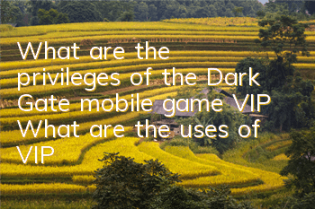 What are the privileges of the Dark Gate mobile game VIP? What are the uses of VIP?