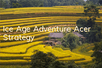 Ice Age Adventure Acer Strategy