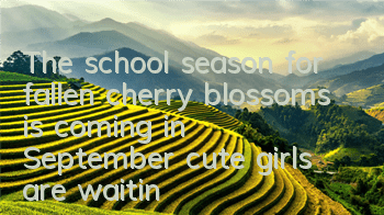 The school season for fallen cherry blossoms is coming in September, cute girls are waiting for you