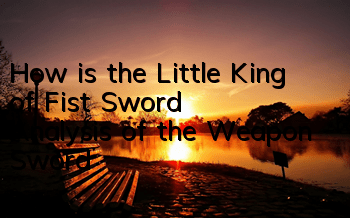 How is the Little King of Fist Sword? Analysis of the Weapon Sword