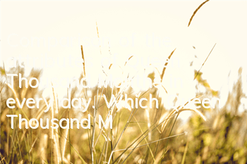 Comparison of the attributes of Queen Thousand Months in every day. Which Queen Thousand Months is better
