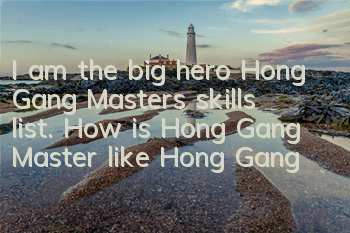 I am the big hero Hong Gang Master’s skills list. How is Hong Gang Master like Hong Gang Master like