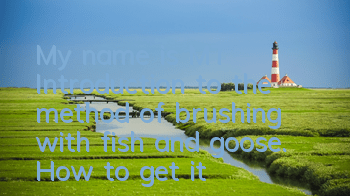 My name is MT Introduction to the method of brushing with fish and goose. How to get it
