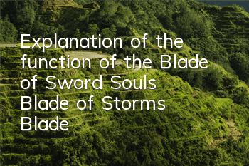 Explanation of the function of the Blade of Sword Soul's Blade of Storm's Blade
