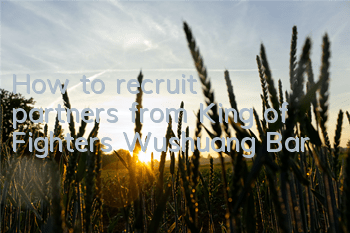 How to recruit partners from King of Fighters Wushuang Bar