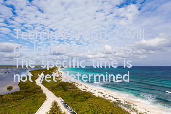 Teenager Tripp 2 will be launched on IOS. The specific time is not yet determined