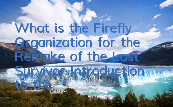 What is the Firefly Organization for the Remake of the Last Survivor (Introduction to the Firefly Organization)