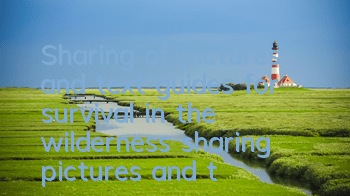 Sharing of pictures and text guides for survival in the wilderness (sharing pictures and text guides for survival in the wilderness)