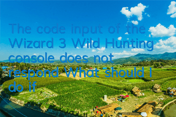 The code input of the Wizard 3 Wild Hunting console does not respond (What should I do if the Wizard 3 console cannot be opened)
