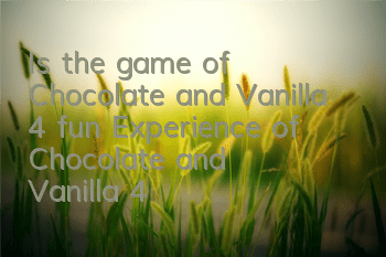 Is the game of Chocolate and Vanilla 4 fun (Experience of 