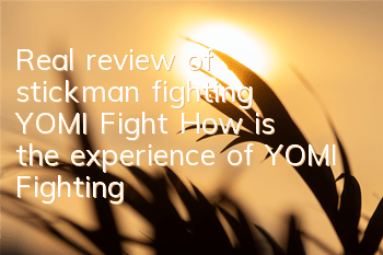 Real review of stickman fighting 