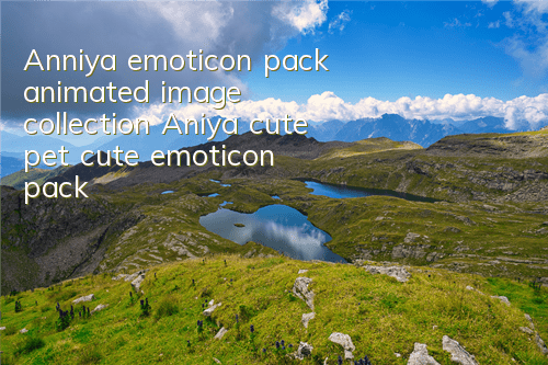 Anniya emoticon pack animated image collection (Aniya cute pet cute emoticon pack)