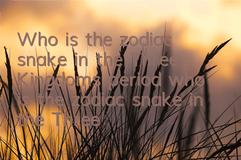 Who is the zodiac snake in the Three Kingdoms period (who is the zodiac snake in the Three Kingdoms period)