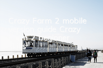 Crazy Farm 2 mobile version guide (Crazy Farm 2 beginner skills)