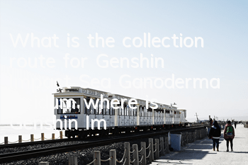 What is the collection route for Genshin Impact Sea Ganoderma lucidum (where is Genshin Impact Sea Ganoderma lucidum)