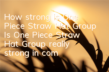 How strong is One Piece Straw Hat Group (Is One Piece Straw Hat Group really strong in combat)