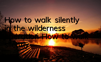 How to walk silently in the wilderness operation How to walk silently