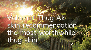 Valorant Thug (Ak) skin recommendation (the most worthwhile thug skin)