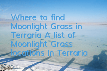 Where to find Moonlight Grass in Terraria (A list of Moonlight Grass locations in Terraria)