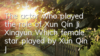 The actor who played the role of Xun Qin Ji Xingyun (Which female star played by Xun Qin Ji Xingyun)