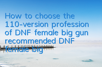 How to choose the 110-version profession of DNF female big gun (recommended DNF female big gun equipment and weapons)