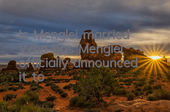 Is Menglei married? (Who has Menglei officially announced it to?)