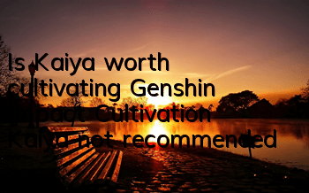 Is Kaiya worth cultivating (Genshin Impact Cultivation Kaiya not recommended)