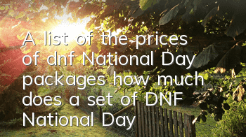 A list of the prices of dnf National Day packages (how much does a set of DNF National Day package cost)