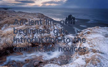 Ancient life game beginners' guide (Introduction to the ancient life novices)