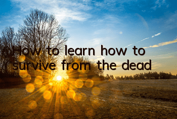 How to learn how to survive from the dead