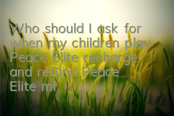 Who should I ask for when my children play Peace Elite recharge and refund (Peace Elite minor recharge and refund tutorial)