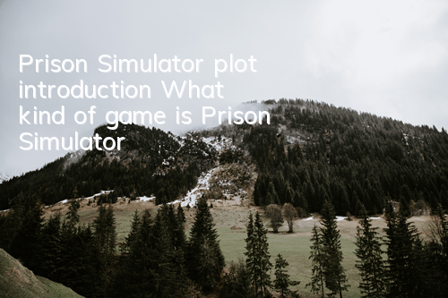 Prison Simulator plot introduction (What kind of game is Prison Simulator)